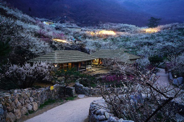 MAEHWA